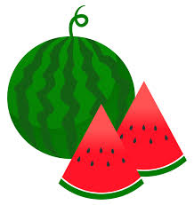 cut_watermelon_illust_246